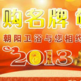  ʵ ԡԼ2013