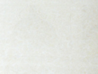 ֩մ-RPP8011
